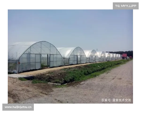 一方水土一方棚,你的地区适合哪种温室大棚? 一方水土一方棚,你的地区适合哪种温室大棚?